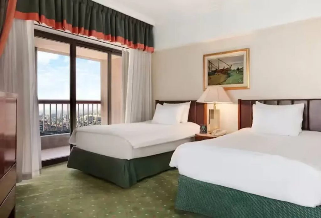 Double room with city view (full double bed)