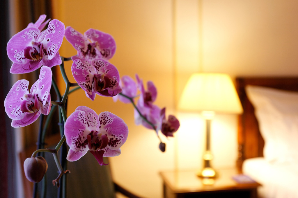 Hotel Le Plaza Brussels - Chambres