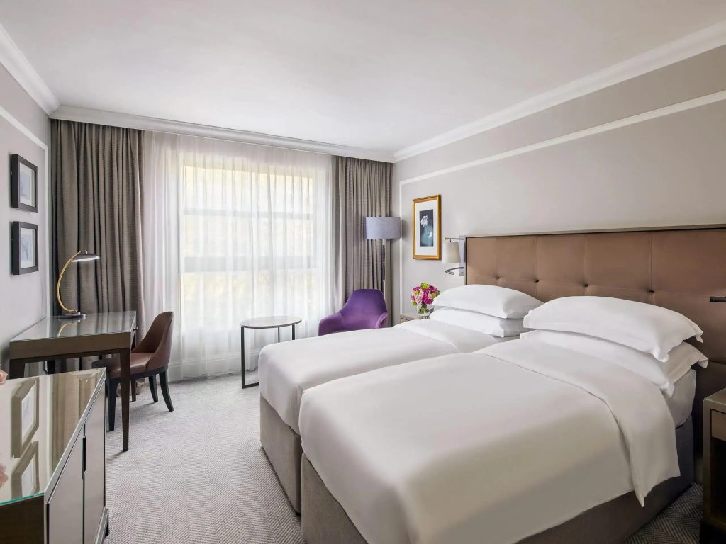 Deluxe Twin room (twin beds)