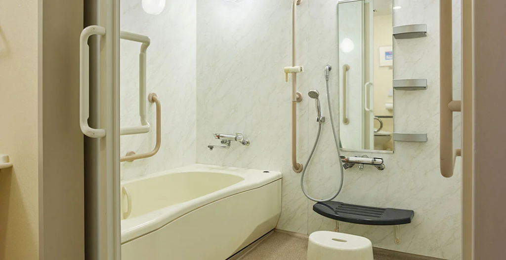 Hotel The Celestine Tokyo Shiba 사진 20
