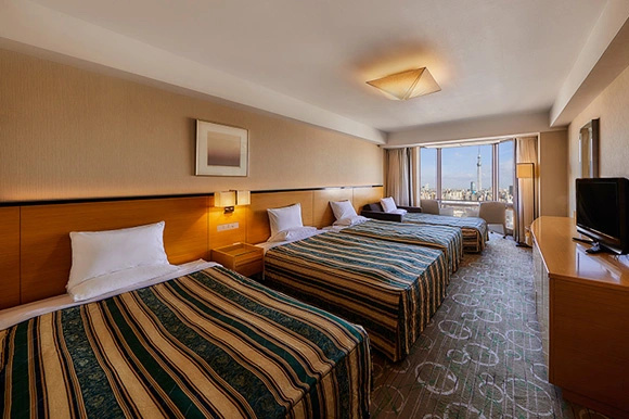 Asakusa View Hotel Annex Rokku 사진 8
