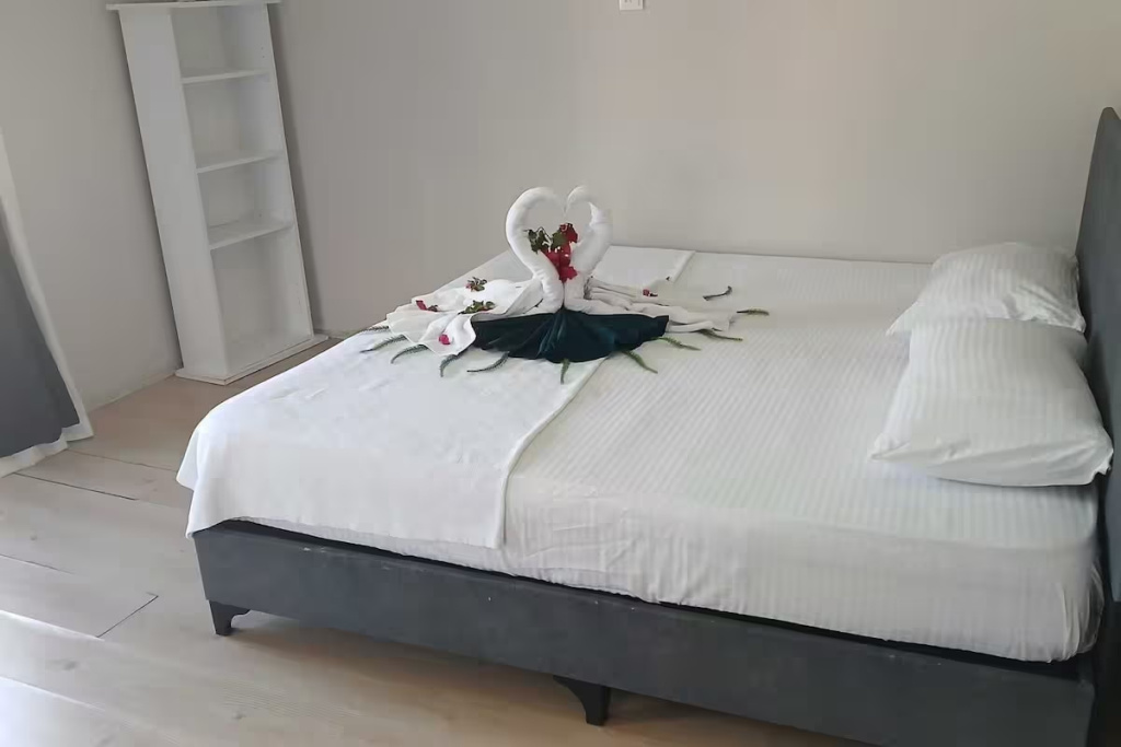 1 Bedroom Penthouse with city view
