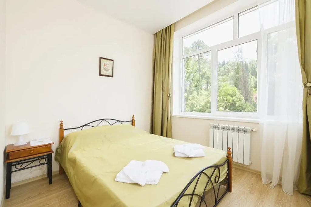 Standard Plus Double room with balcony (full double bed)