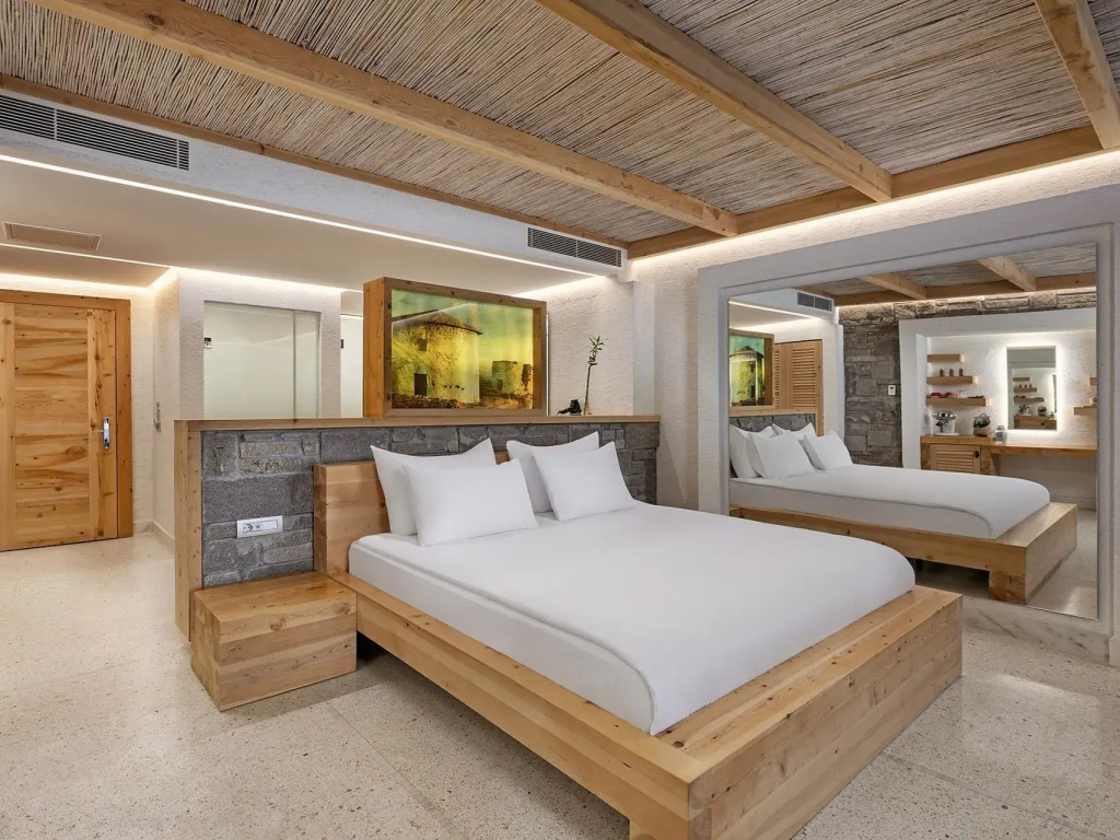Exclusive Swim-Up Double room (full double bed)