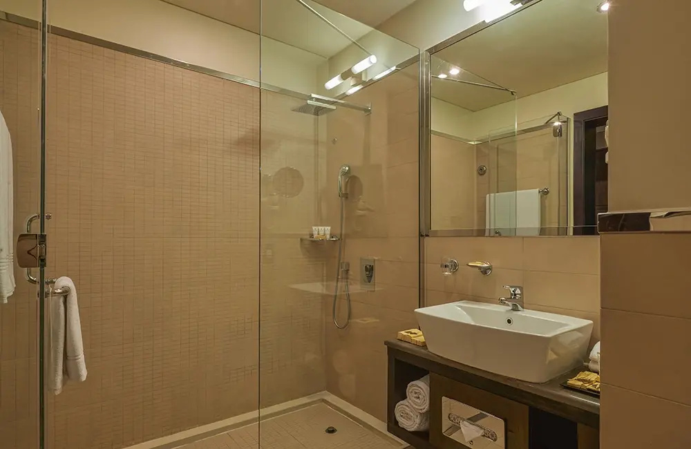 Superior Double room (full double bed)