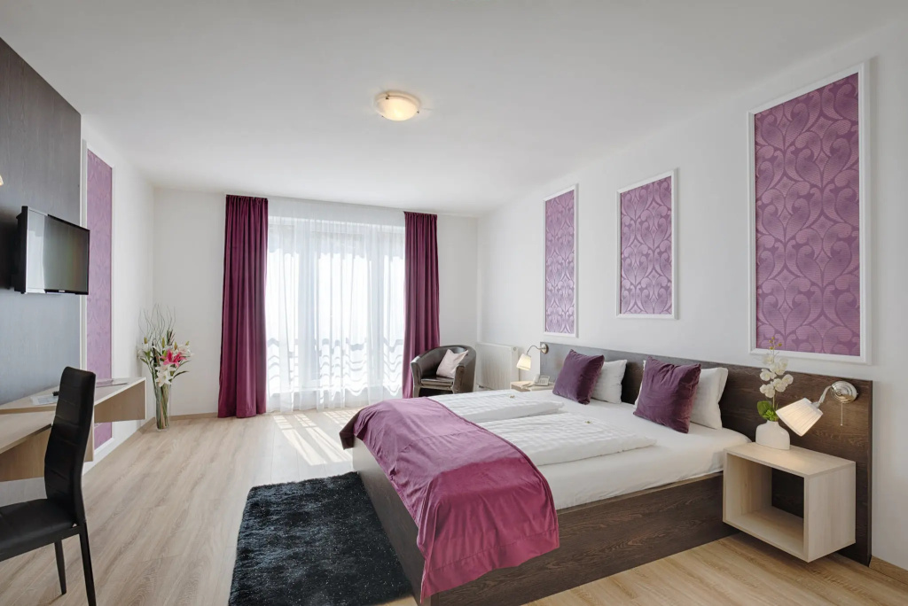 Standard Small Double room (full double bed)