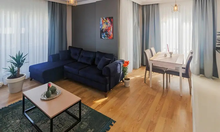 1+1 Apartment