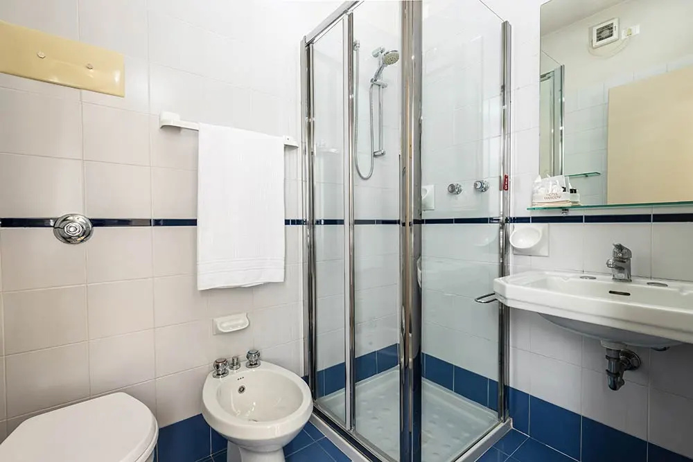 Alevic Hotel Sirmione - Chambres