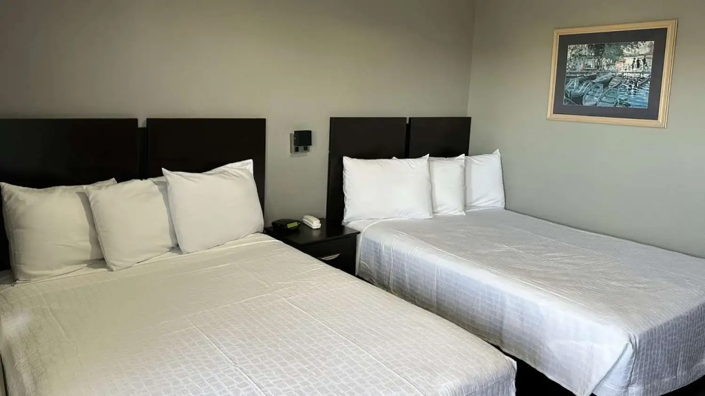 Sonesta Simply Suites Baltimore BWI Airport - Chambres