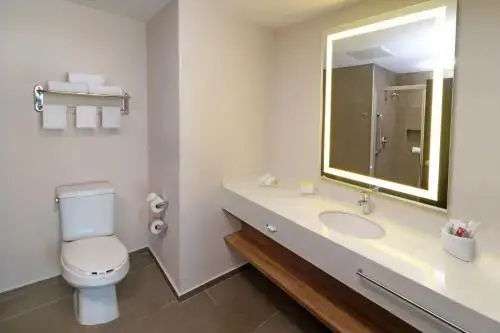 Holiday Inn San Luis Potosi Quijote by IHG - Chambres