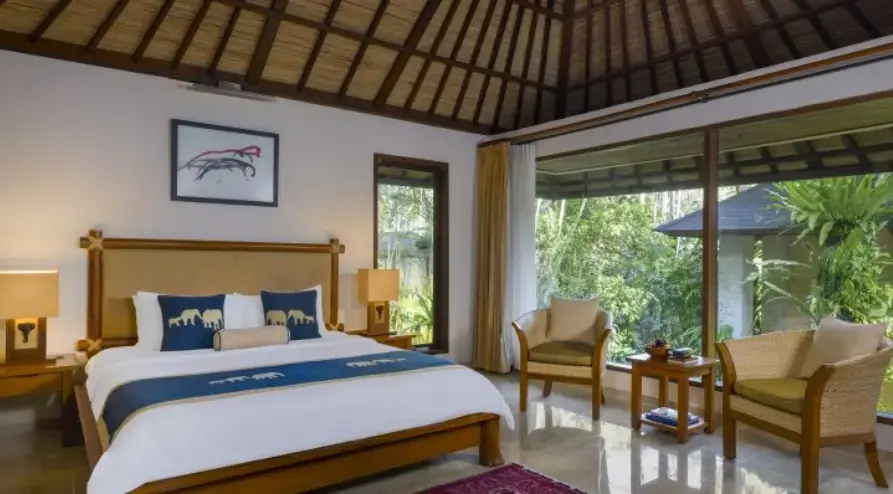 Mason Elephant Lodge - Chambres