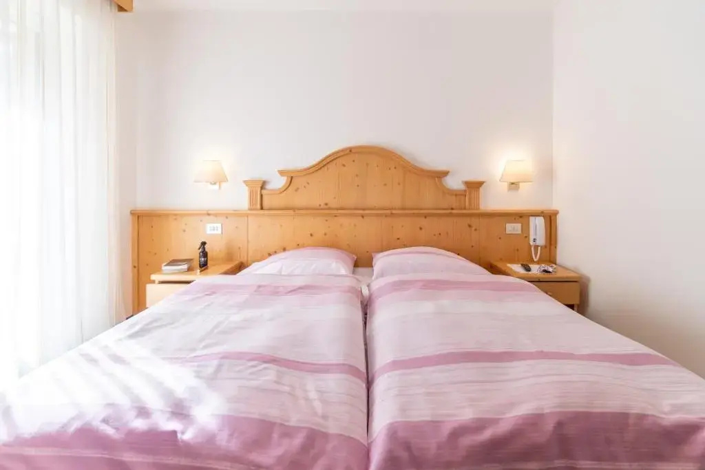 Double room with mountain view (twin beds)
