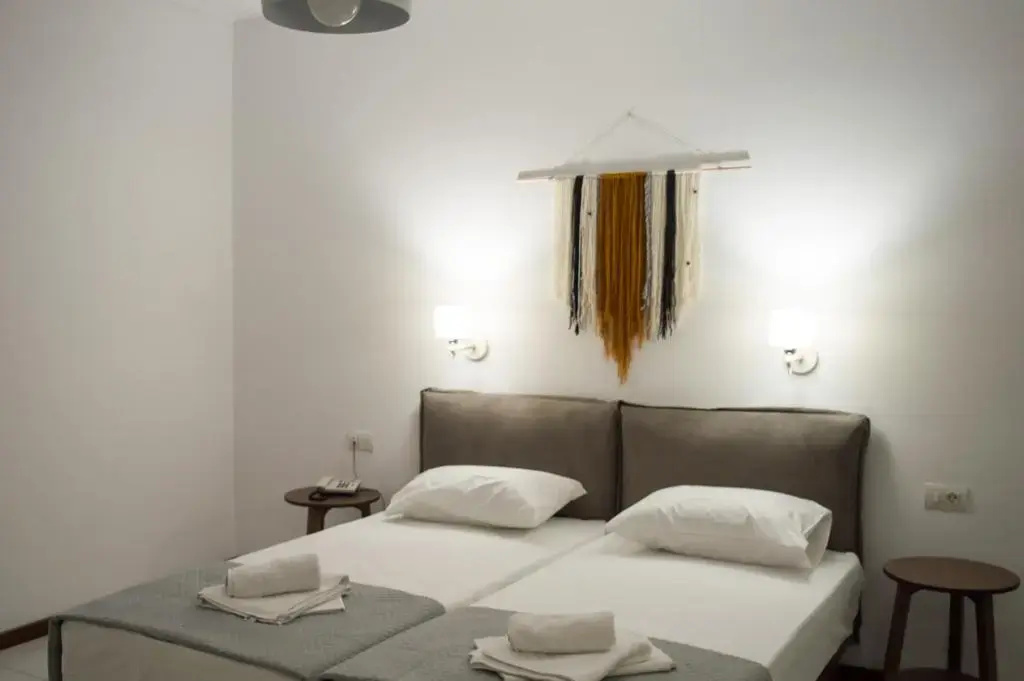 Double room with garden view (twin beds)