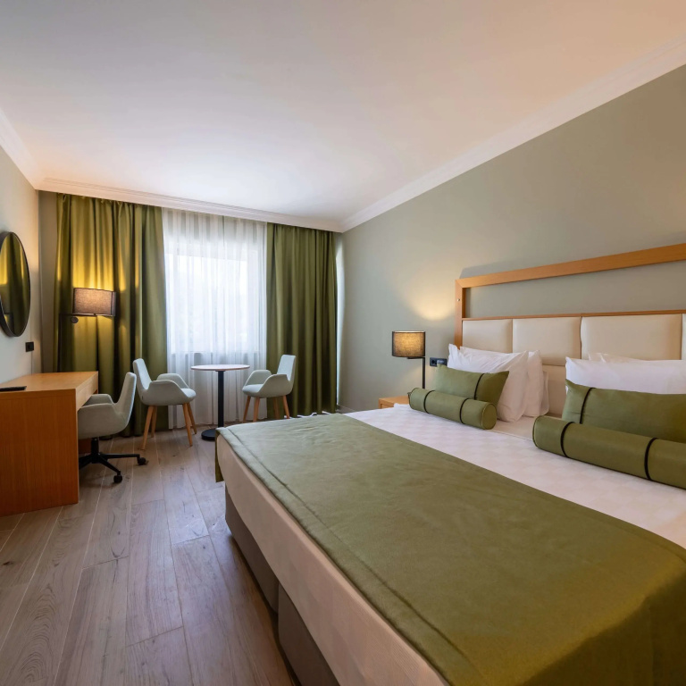 Standard Double room with land view (full double bed)