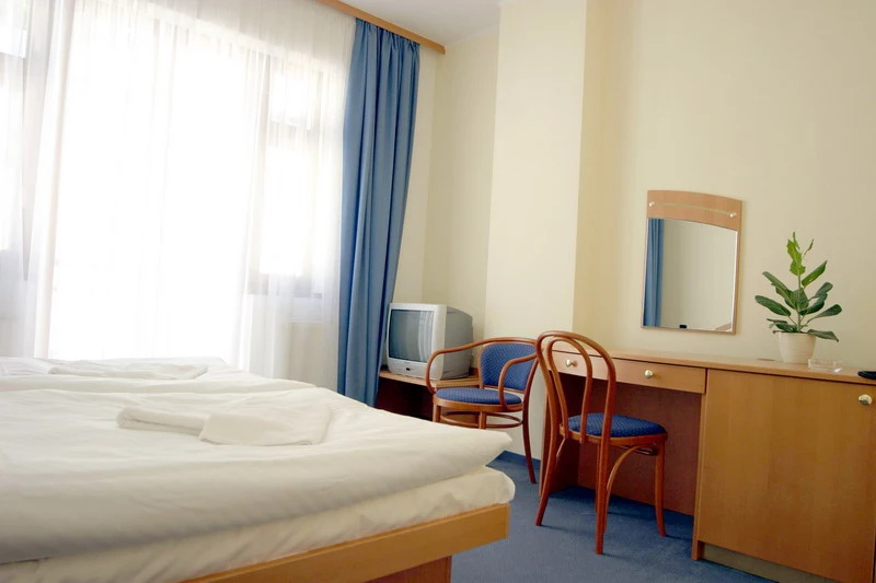 Hotel Ruze - Chambres