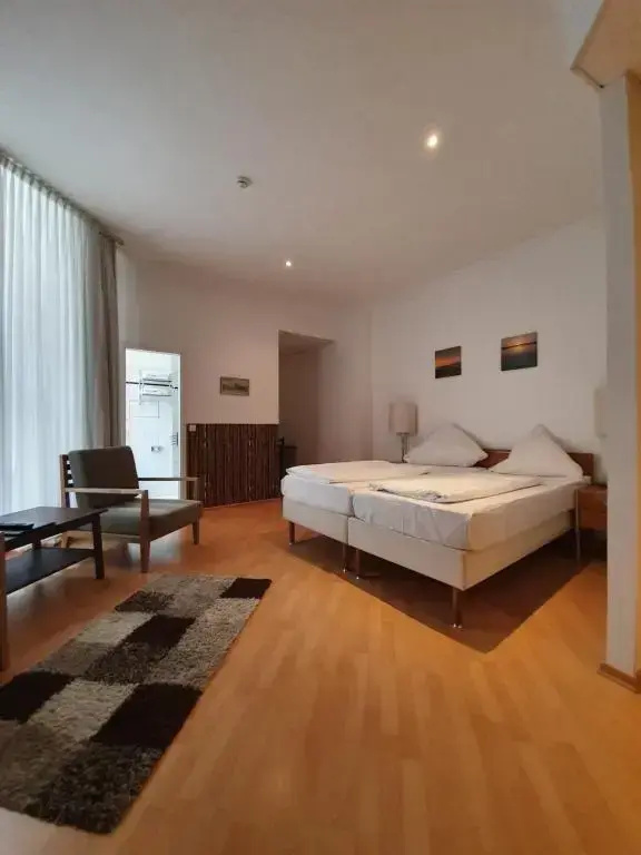 Comfort Double room (full double bed)