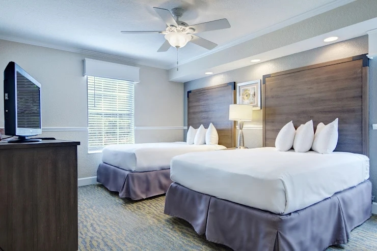 2 Bedrooms Accessible Condo
