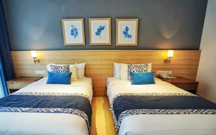 Superior Double room (twin beds)