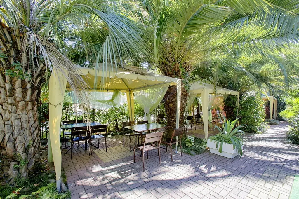 адлерский район пансионат бургас. сочи ленина пансионат бургас. санаторий бургас адлер. пансионат бургас адлер. сочи ленина пансионат бургас.