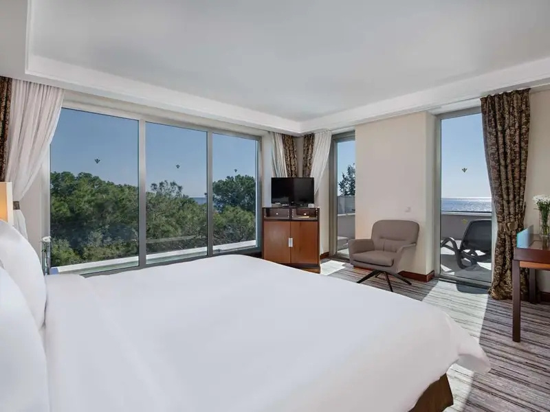 Jacuzzi Double Suite (full double bed)