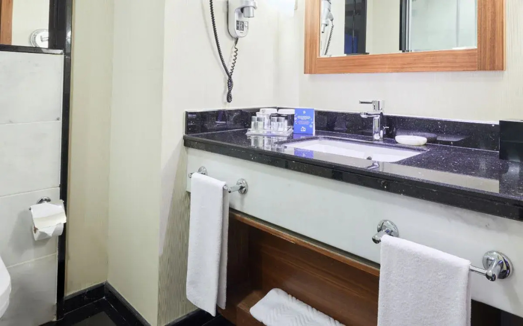Dedeman Konya Hotel And Convention Center - Chambres