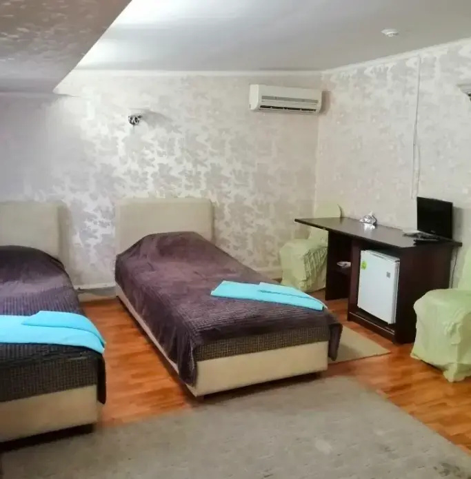 Standard Double room (twin beds)