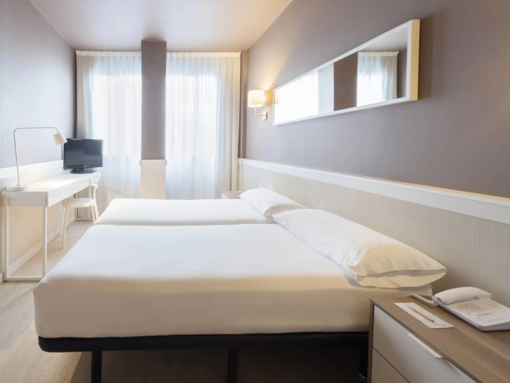 Standard Double room (twin beds)
