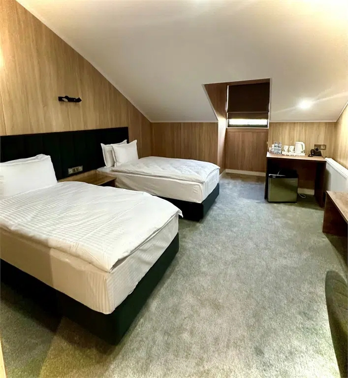 Economy Attic room