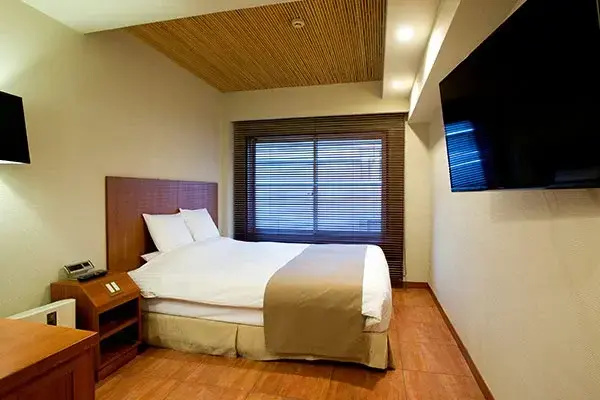 Deluxe Double room (full double bed)