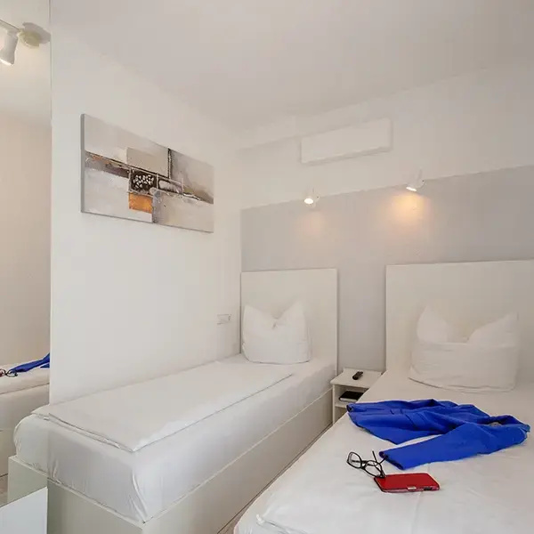 Micro Double room (twin beds)