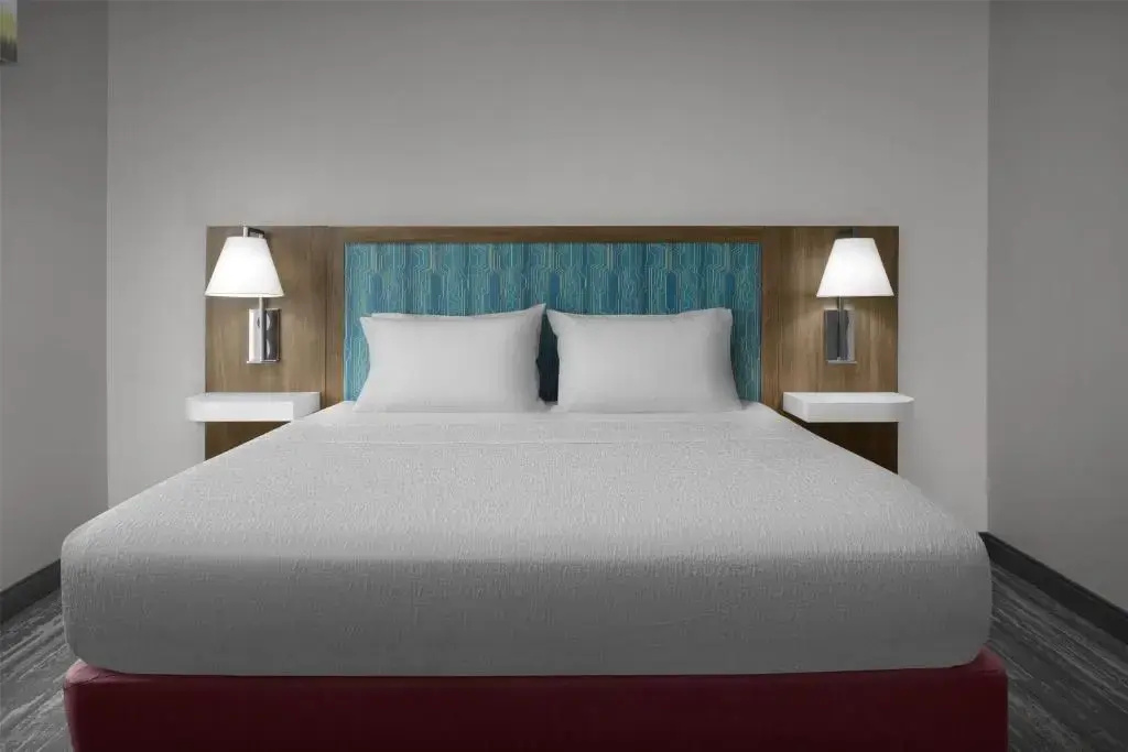 Hampton Inn & Suites Jacksonville South - Bartram Park - Général