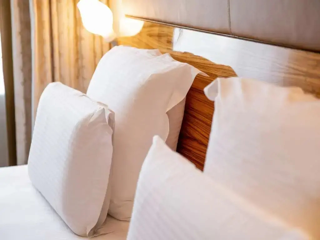 Pullman Eindhoven Cocagne - Chambres