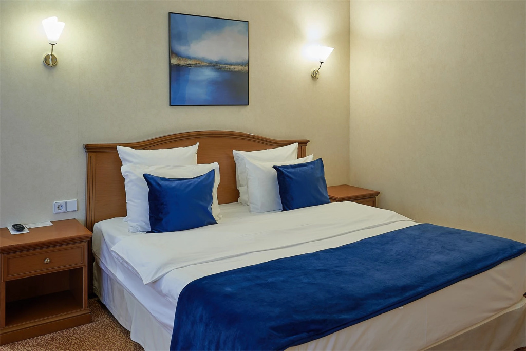 Paveletskaya Select Hotel Room Type - 1 Bedroom Double Suite full double bed
