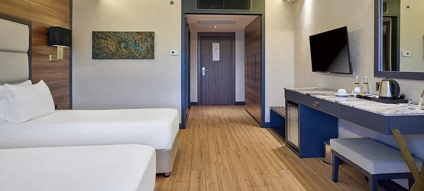 Superior Double room with city view (twin beds)