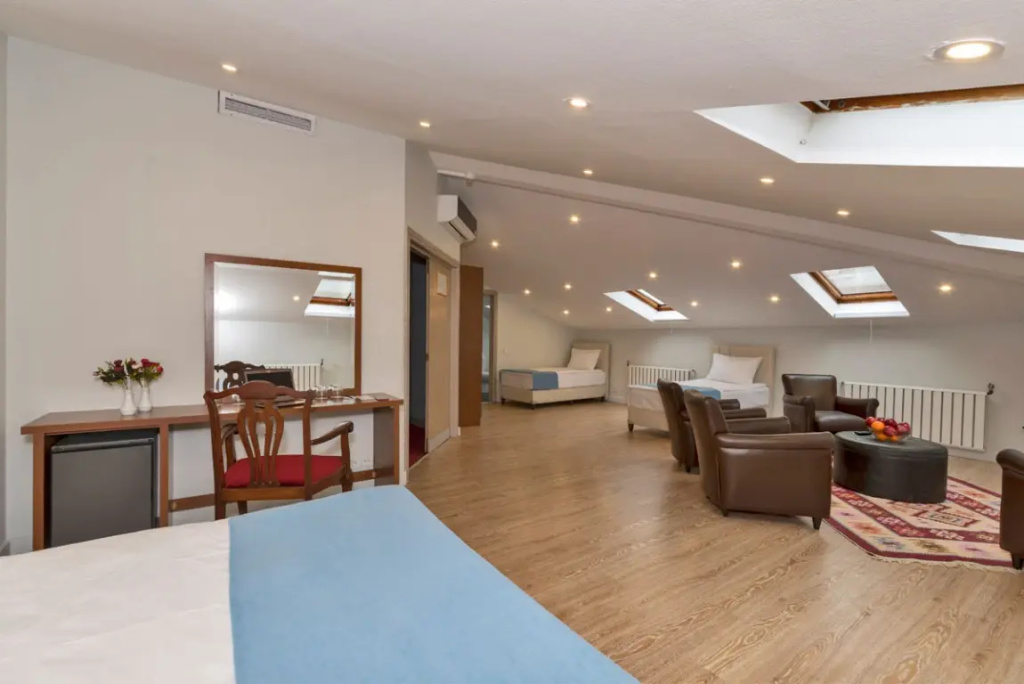 Febor Park Hotel Levent - Chambres