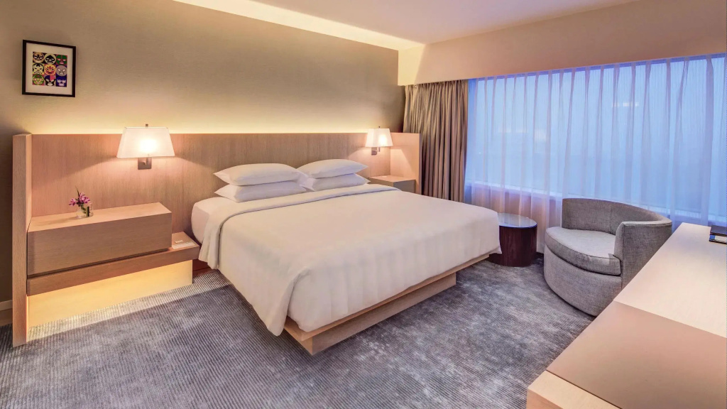 Executive Double Suite (full double bed)