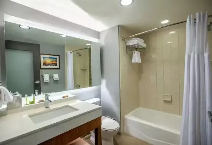 DoubleTree by Hilton Asheville Downtown - Chambres