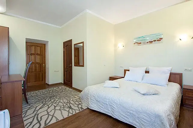 Comfort Double room (full double bed)