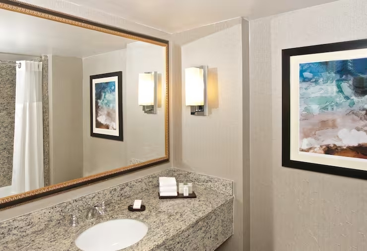 Embassy Suites by Hilton Seattle Bellevue - Chambres