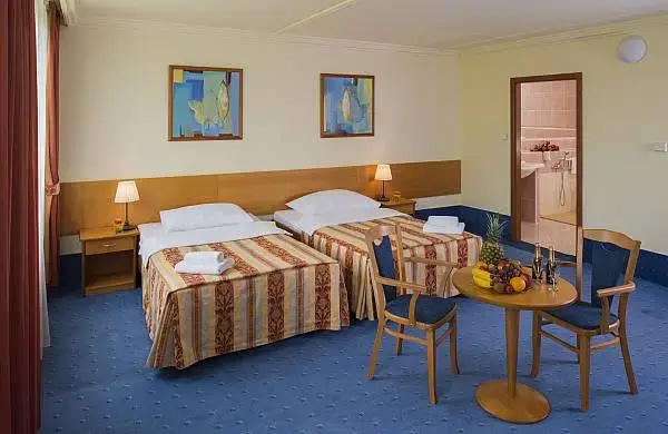 Executive Double room (full double bed)