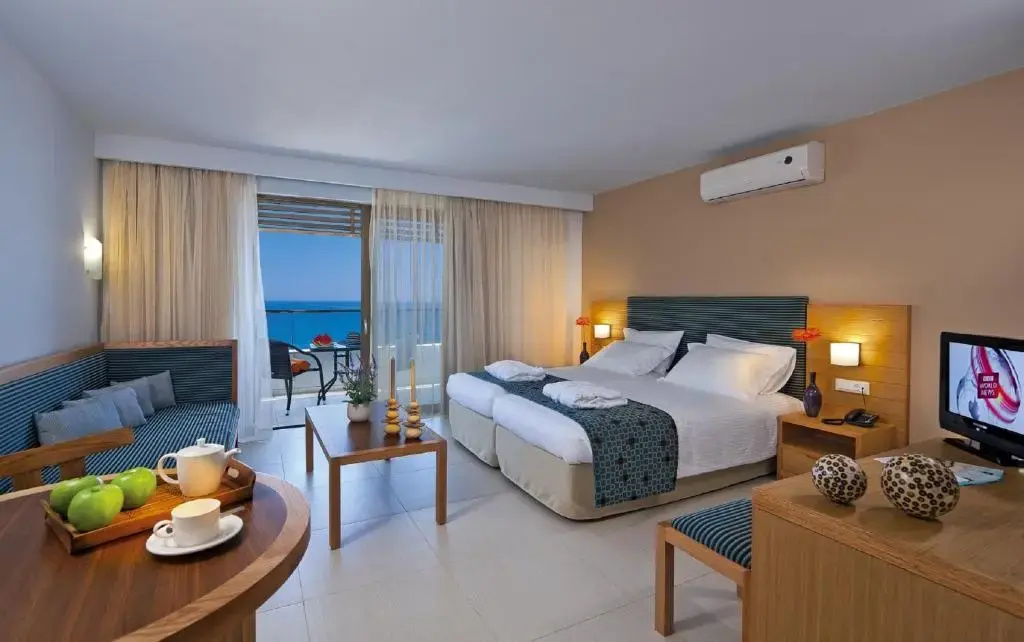 Superior Double Studio (twin beds)