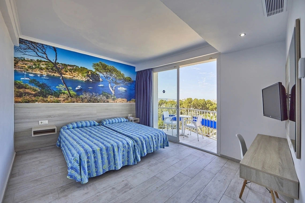 Superior Double room (twin beds)