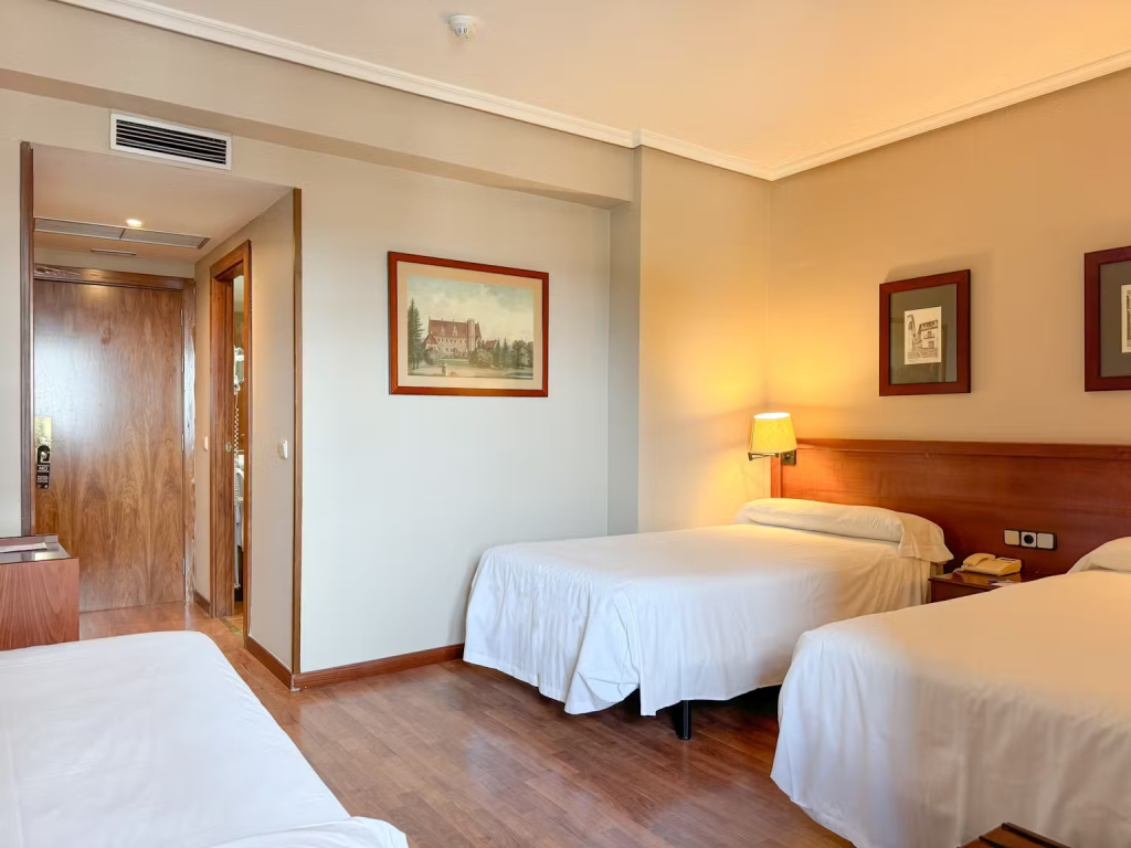 Segovia Sierra de Guadarrama Hotel - Chambres