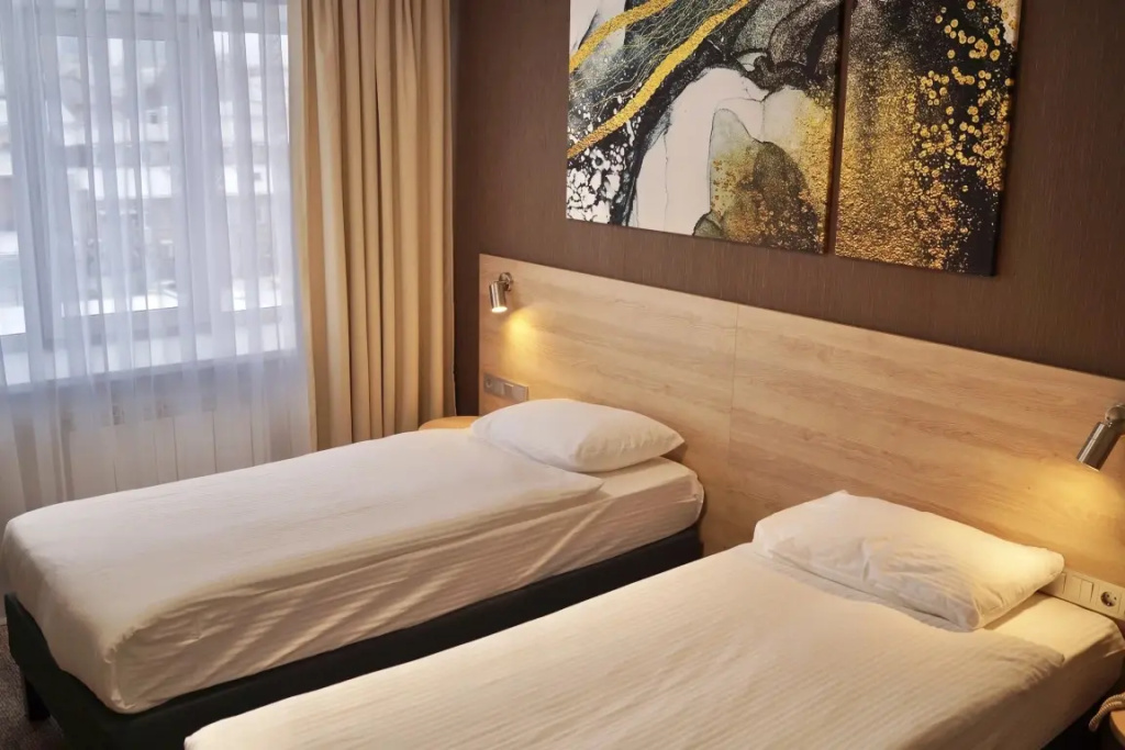Business Comfort Double room (twin beds)