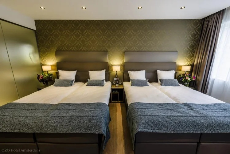 Deluxe Double room (twin beds)