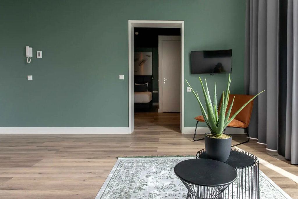 Deluxe Double Apartment (full double bed)