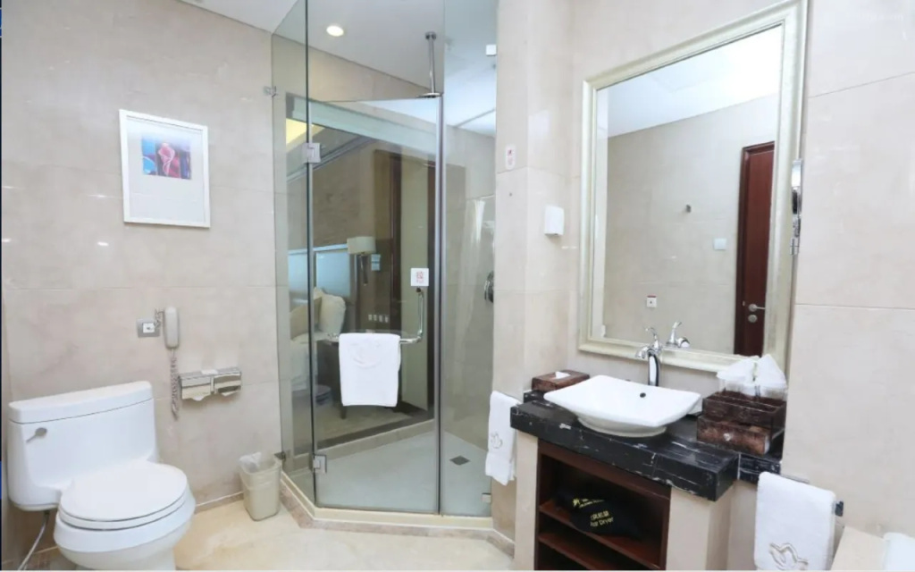Xinjiang Plaza VIP Building - Chambres