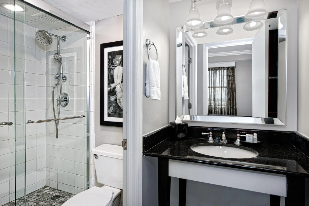 Hotel Indigo Dallas Downtown by IHG - Chambres