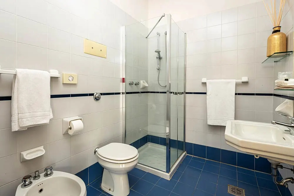 Alevic Hotel Sirmione - Chambres