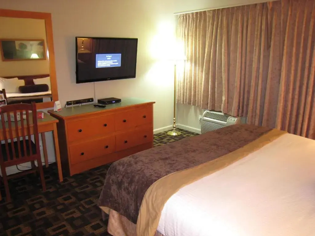 1 Bedroom Theme Suite